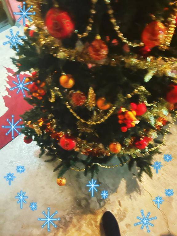 はじめまして??