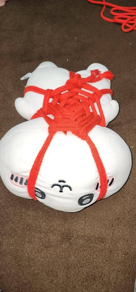 こんにちは(???????)