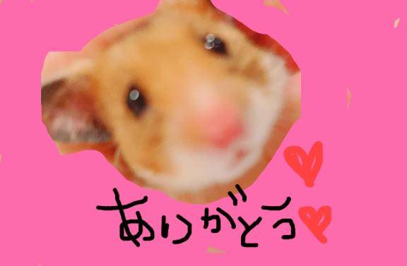 忙しいお兄さん??