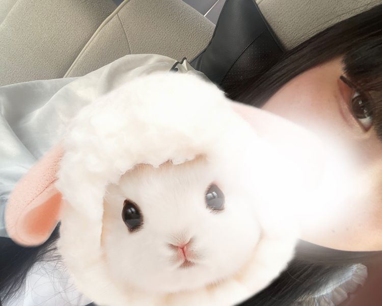 います！
