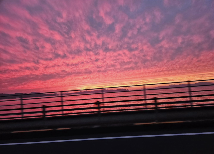 おやすみ