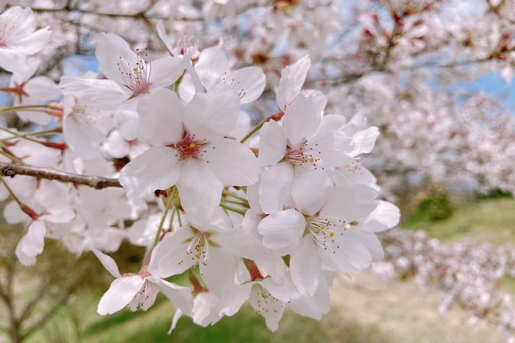 ♥女の子休暇終了♥