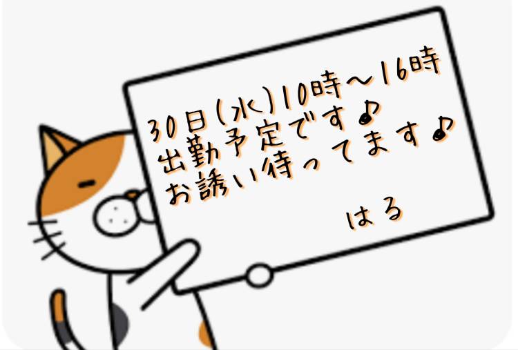 出勤予定です♡