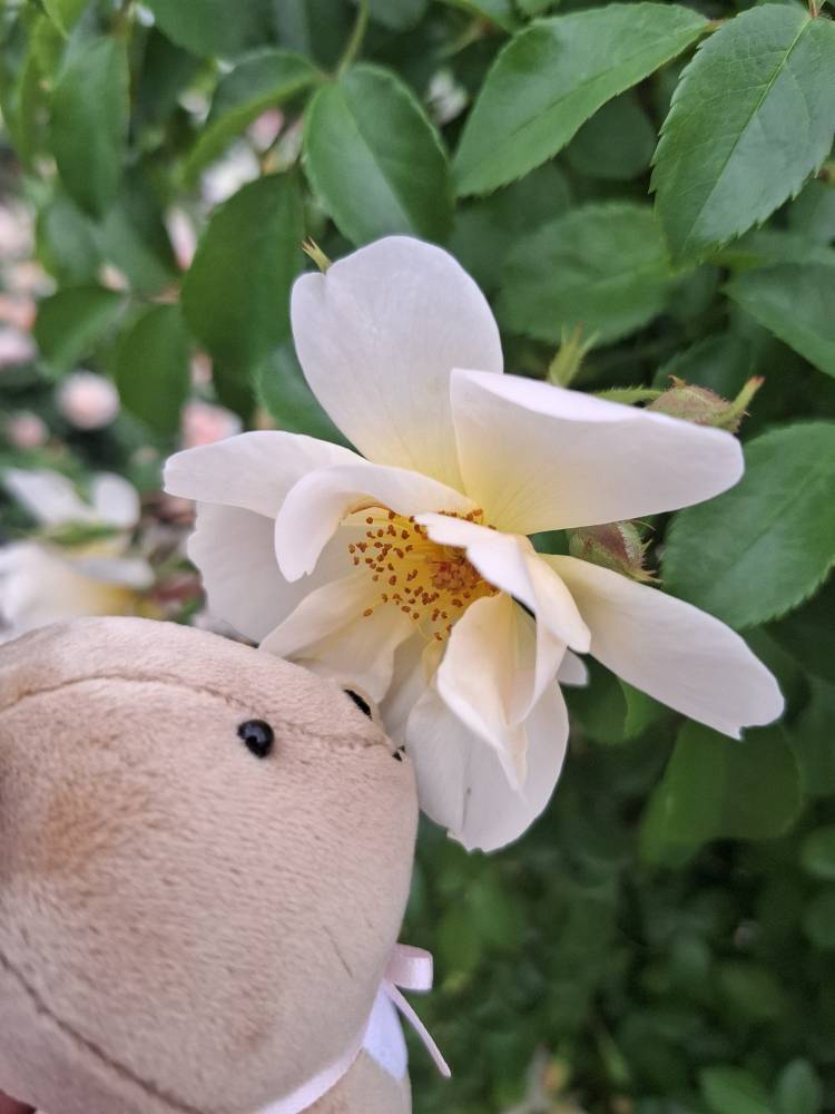 お客様へ★