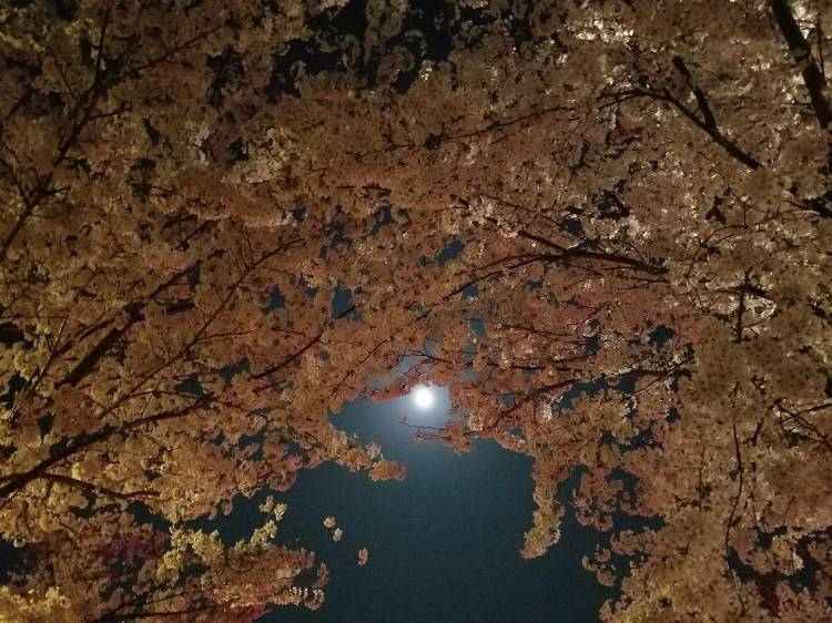お客様へ☆