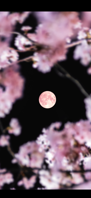 お客様へ(╹◡╹)♡