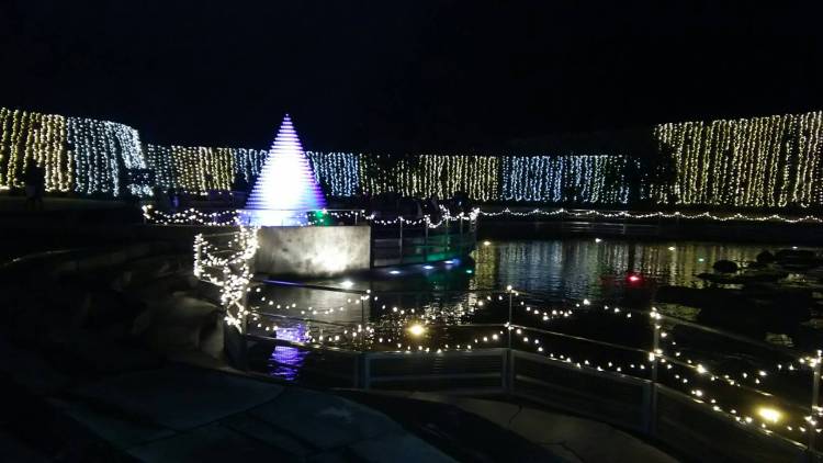 《りんご》可愛いぽっちゃり癒し系巨乳