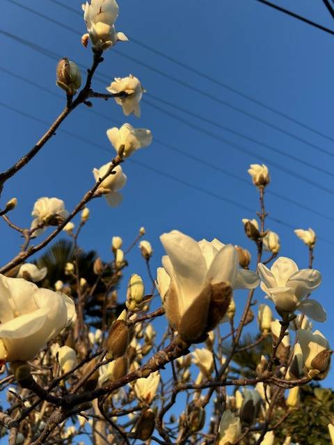 お客様へ（╹◡╹）♡