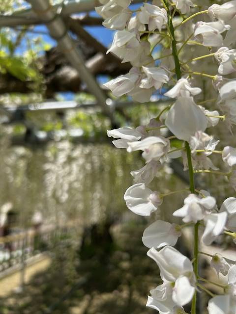 お客様へ（╹◡╹）♡