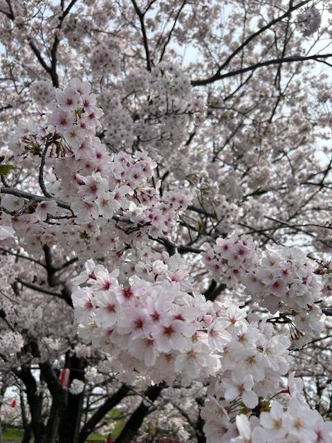 JJ5号室のお客様へ(╹◡╹)♡