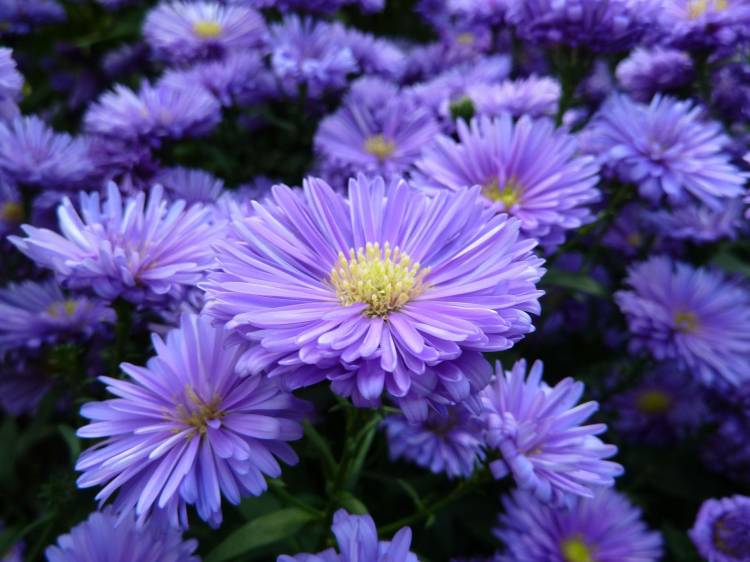 お客様へ(╹◡╹)♡