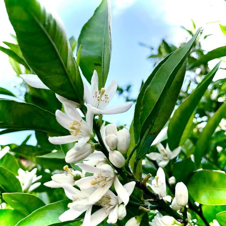 JJ9号室のお兄様🍊(*´∇｀*)♡