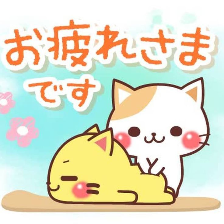 体験　あずみ　ドMで巨乳でど変態　全身リップで隅々まで👅