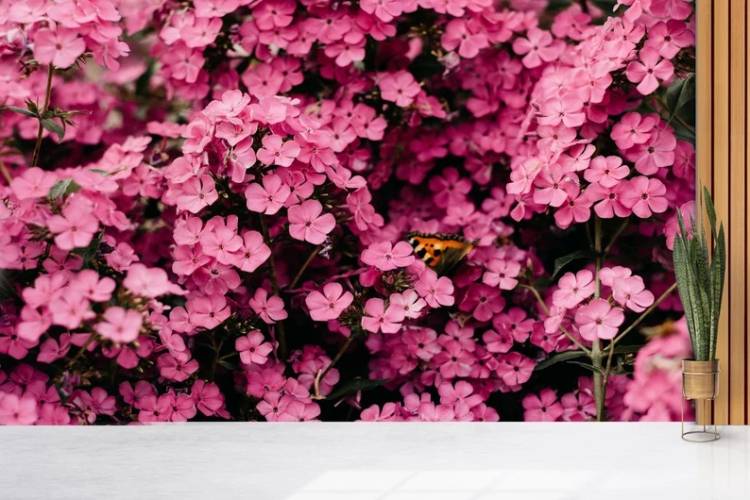 体験　朱音（あかね）👩素人熟女Ｈカップの巨乳にM女が刺激を求めてデビュー‼️