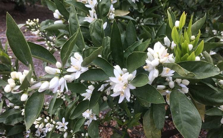 JJ7号室のお客様（╹◡╹）♡