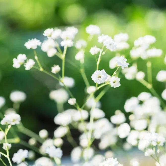 体験　朱音（あかね）👩素人熟女Ｈカップの巨乳にM女が刺激を求めてデビュー‼️