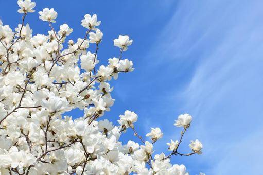 体験　朱音（あかね）👩素人熟女Ｈカップの巨乳にM女が刺激を求めてデビュー‼️