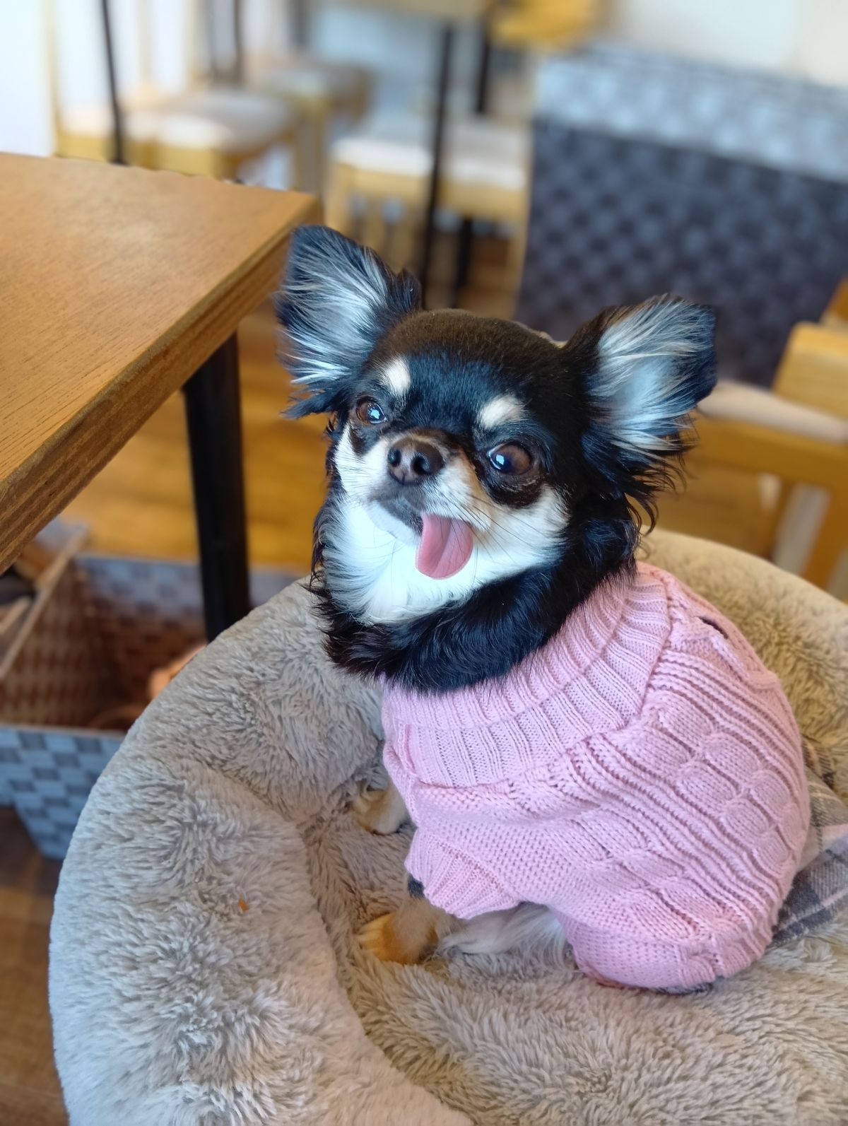 🍌まちこ　清楚系、癒し系、エロエロフルオプション🉑人妻👩逆3Ｐ🉑