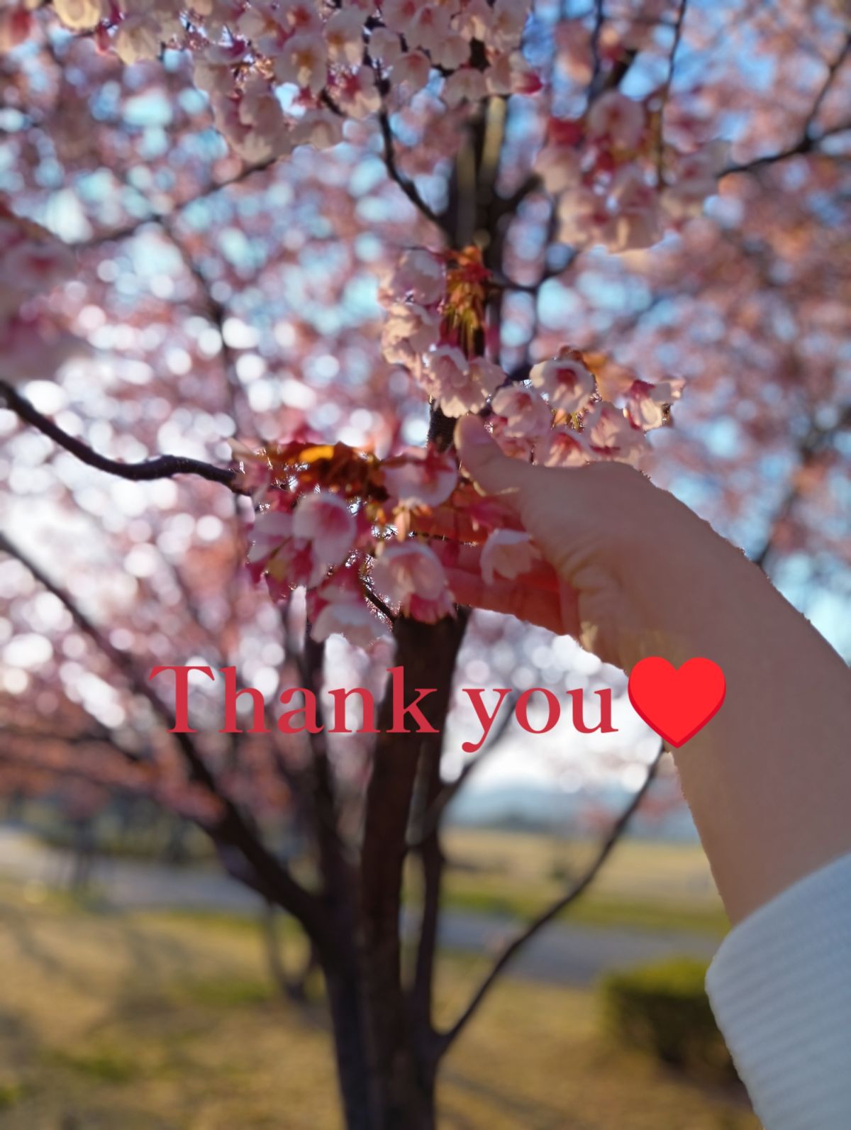 ☆JJ5番のお客様へ☆