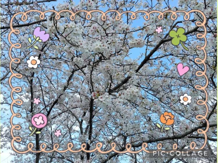 体験 ゆい　エッチな熟女　Mっ気あり、お色気あり癒しあり濃厚なサービスあり