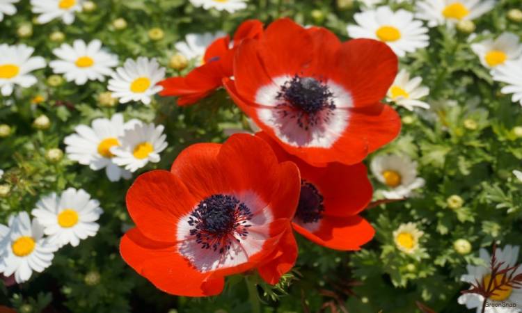 JJ6号室のお客様へ=(^.^)=