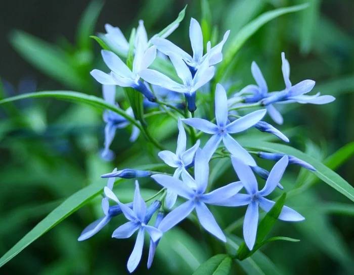 体験　朱音（あかね）👩素人熟女Ｈカップの巨乳にM女が刺激を求めてデビュー‼️