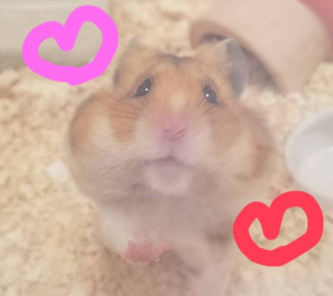 出勤予定☆