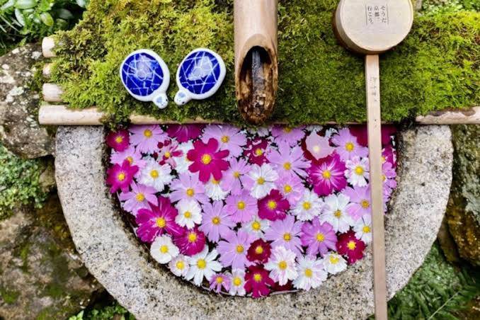 体験　朱音（あかね）👩素人熟女Ｈカップの巨乳にM女が刺激を求めてデビュー‼️