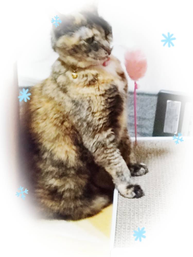 お客様へ