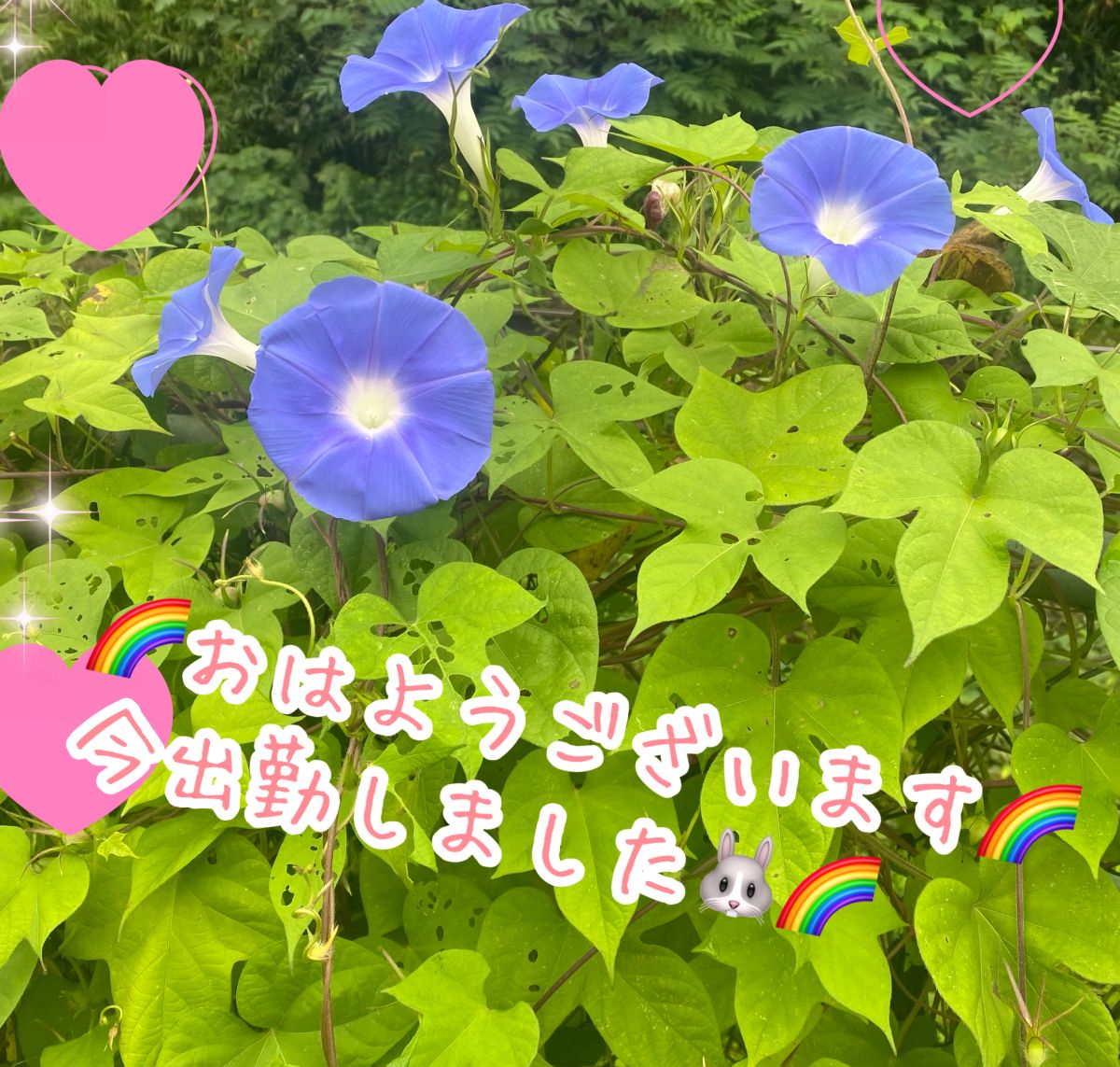 🐰ひなの🐰出勤報告
