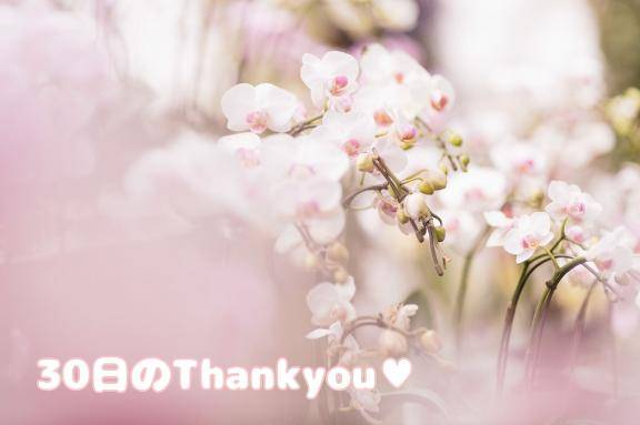 30日(火)のThankyou(*´?`)??