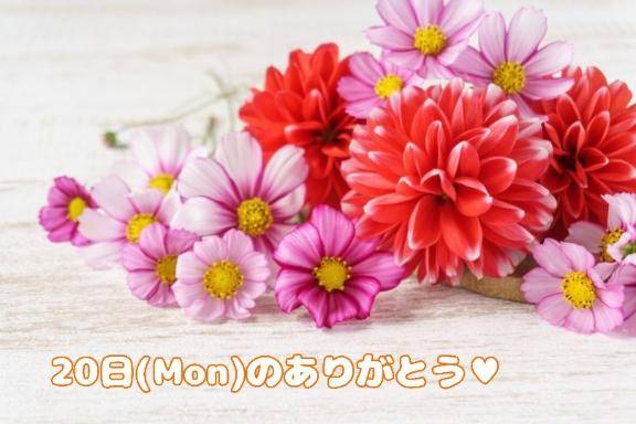 ROSSO ご新規の歳下くん?*¨*?.???