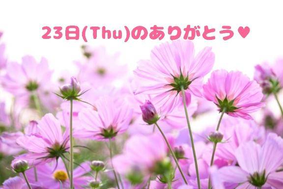 23日(木)のリピ様へ( *´?`*)??