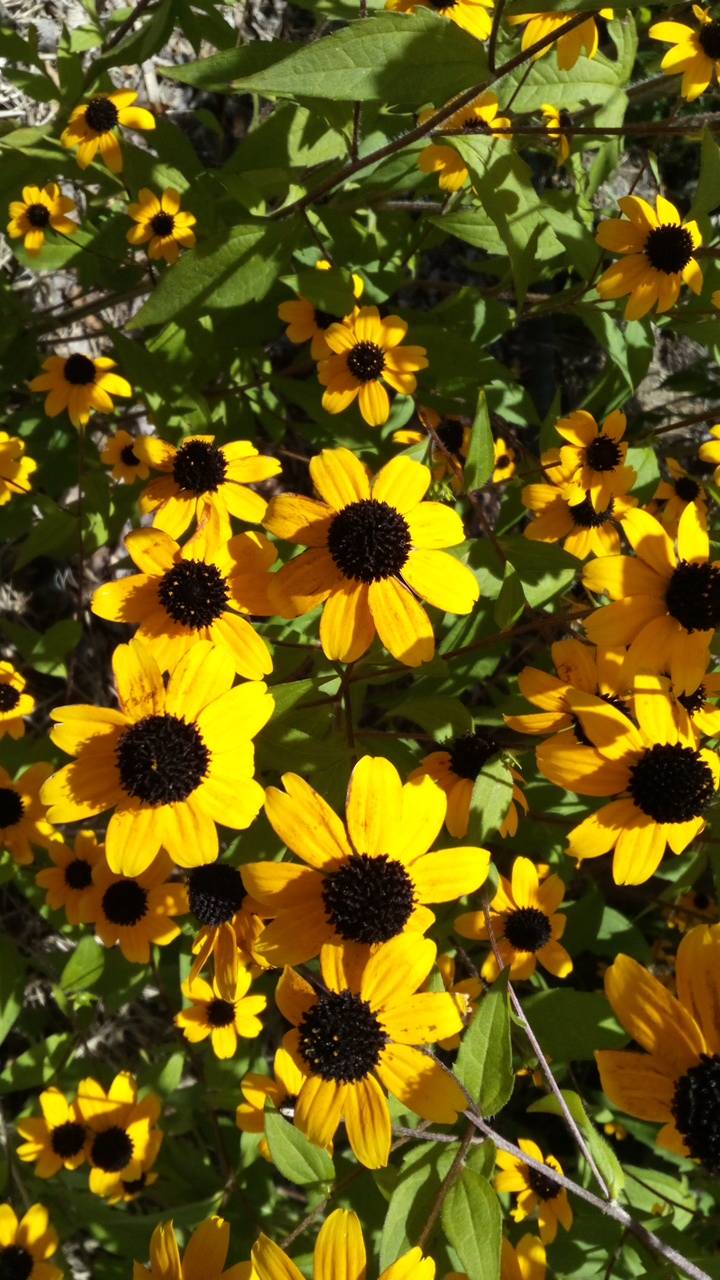 お疲れ様ですm(_ _)m?