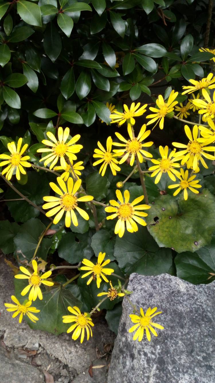 おはようございます?