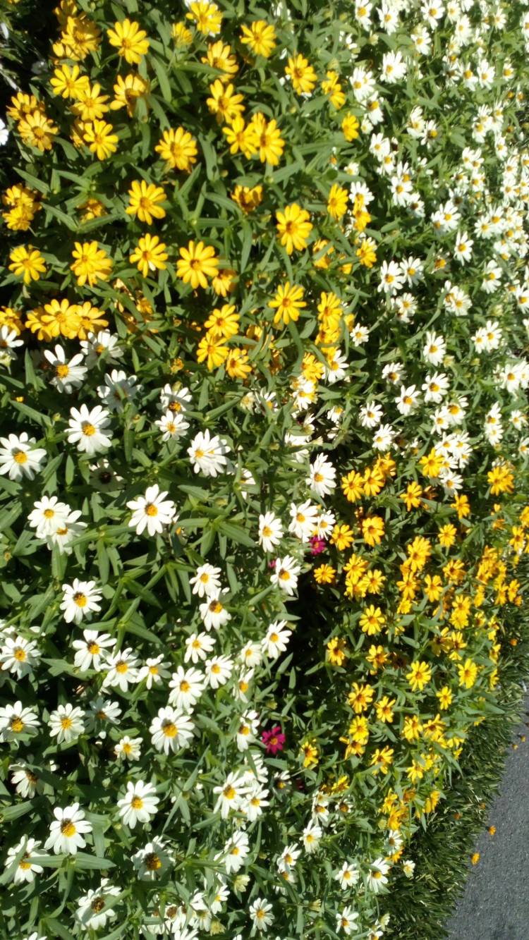 有り難う御座いました?