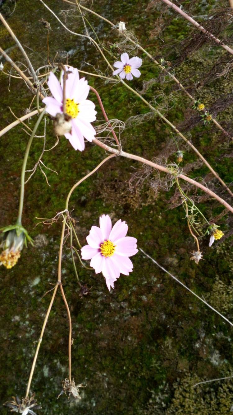 今日も一日有り難う御座いました?