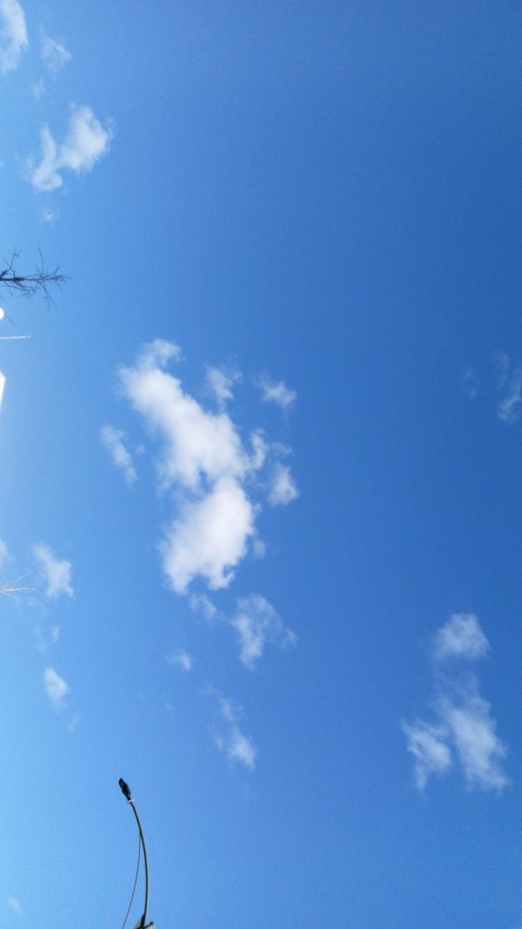 ありがとうございます?