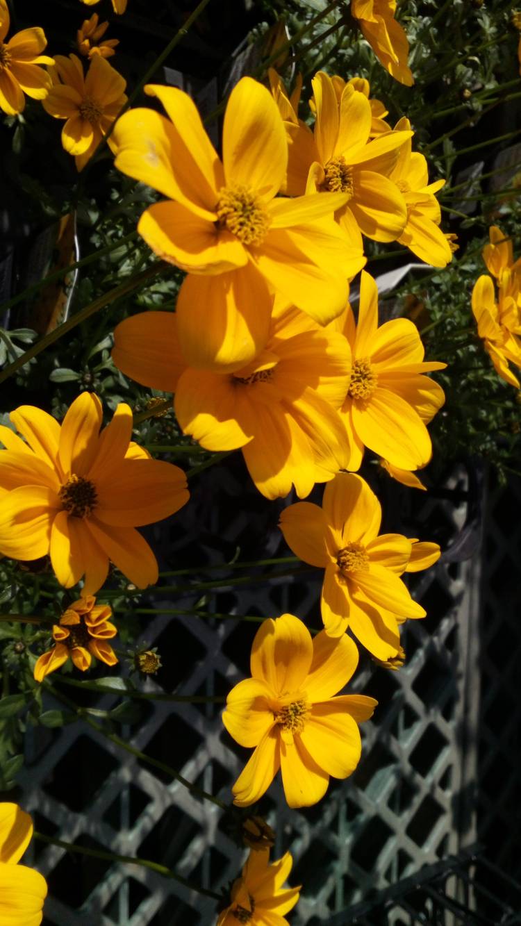 帰宅しました????