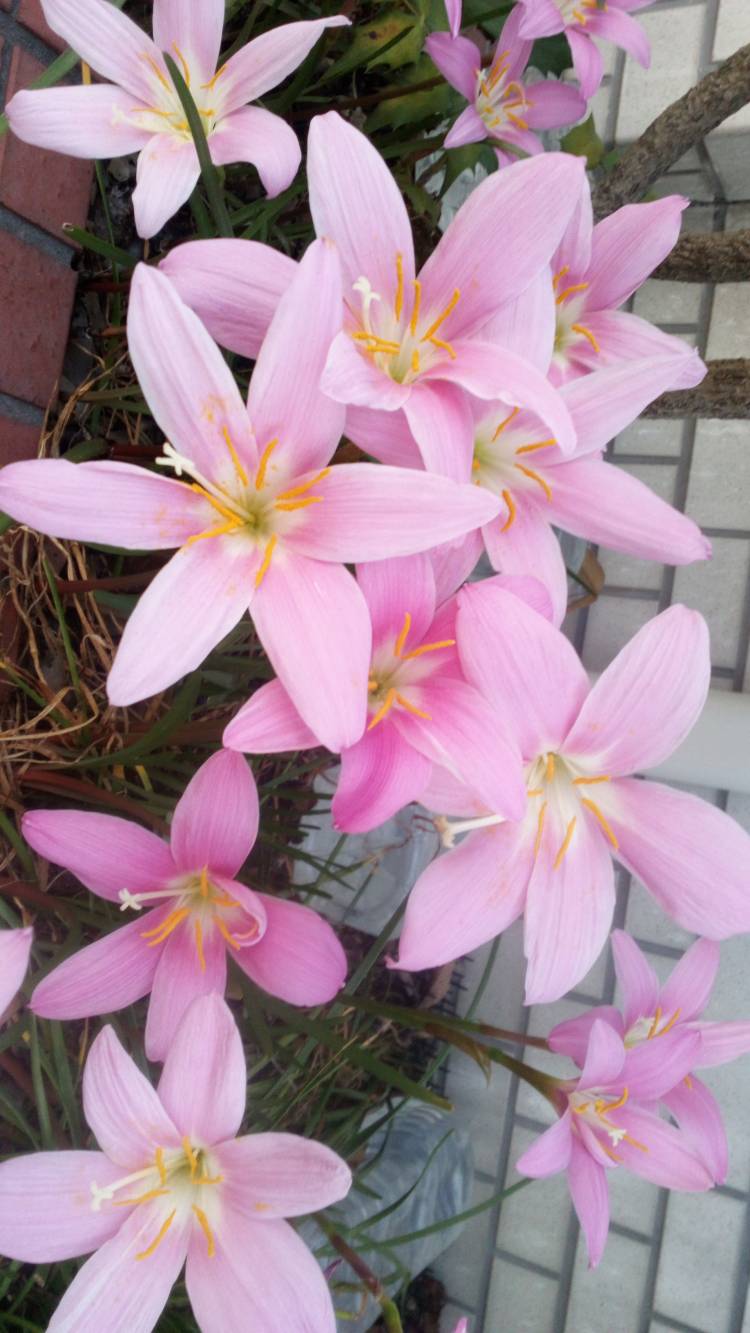 ２０２５年有り難うございましたm(_ _)m?