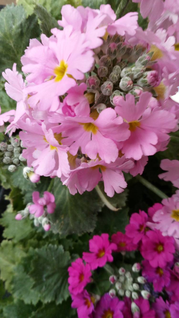 帰宅しました????