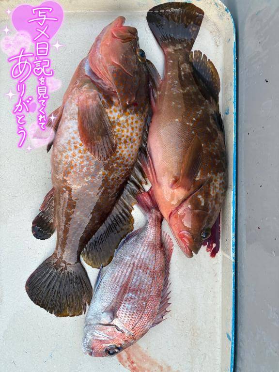 釣り日記⑦（正月編）??