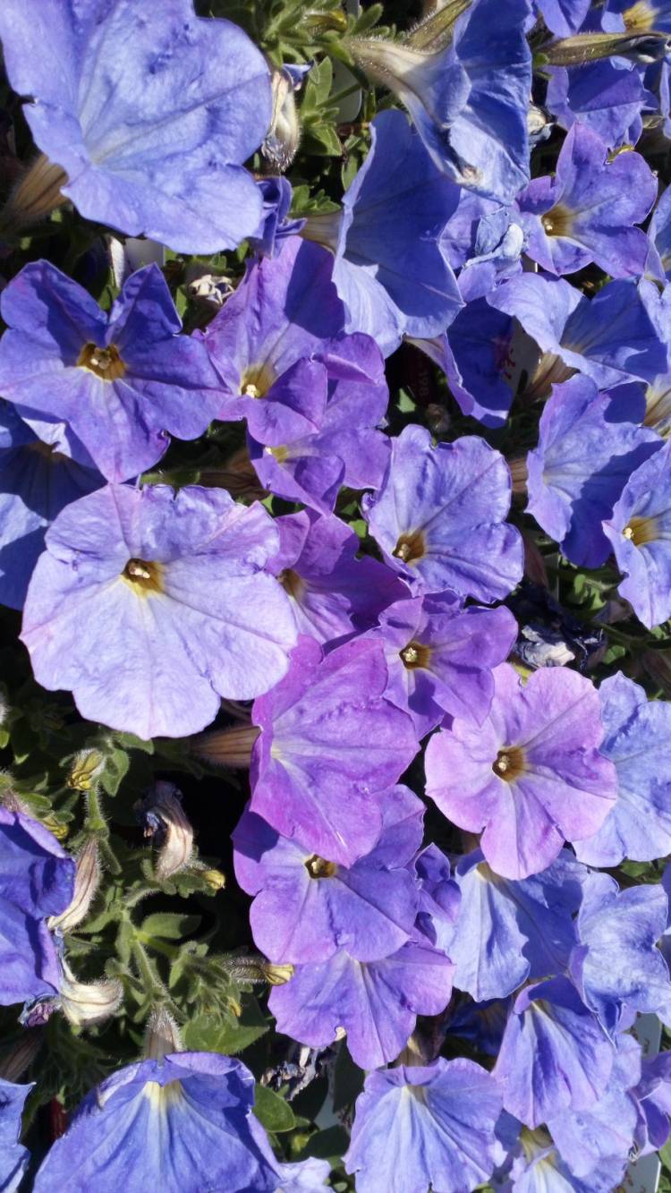 有り難う御座います?