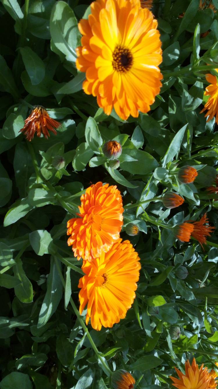 有り難う御座います?