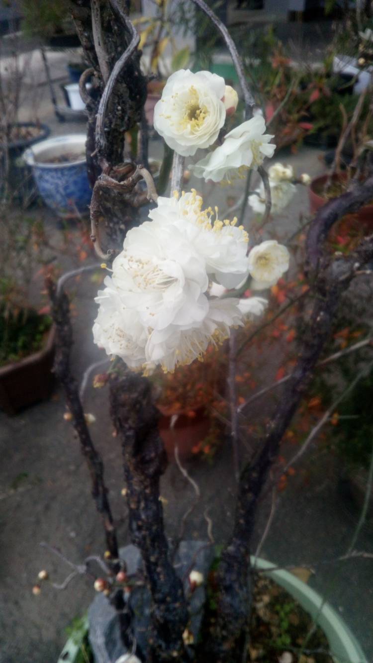 出勤しました～?