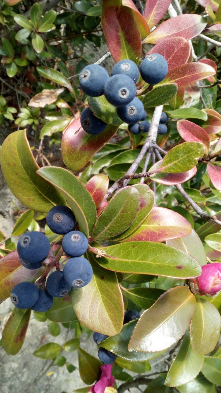 帰宅しました????