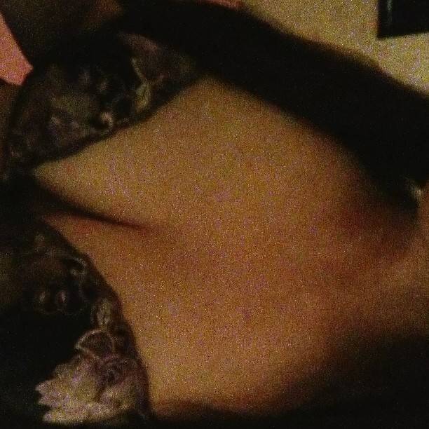 昨夜から今朝は～