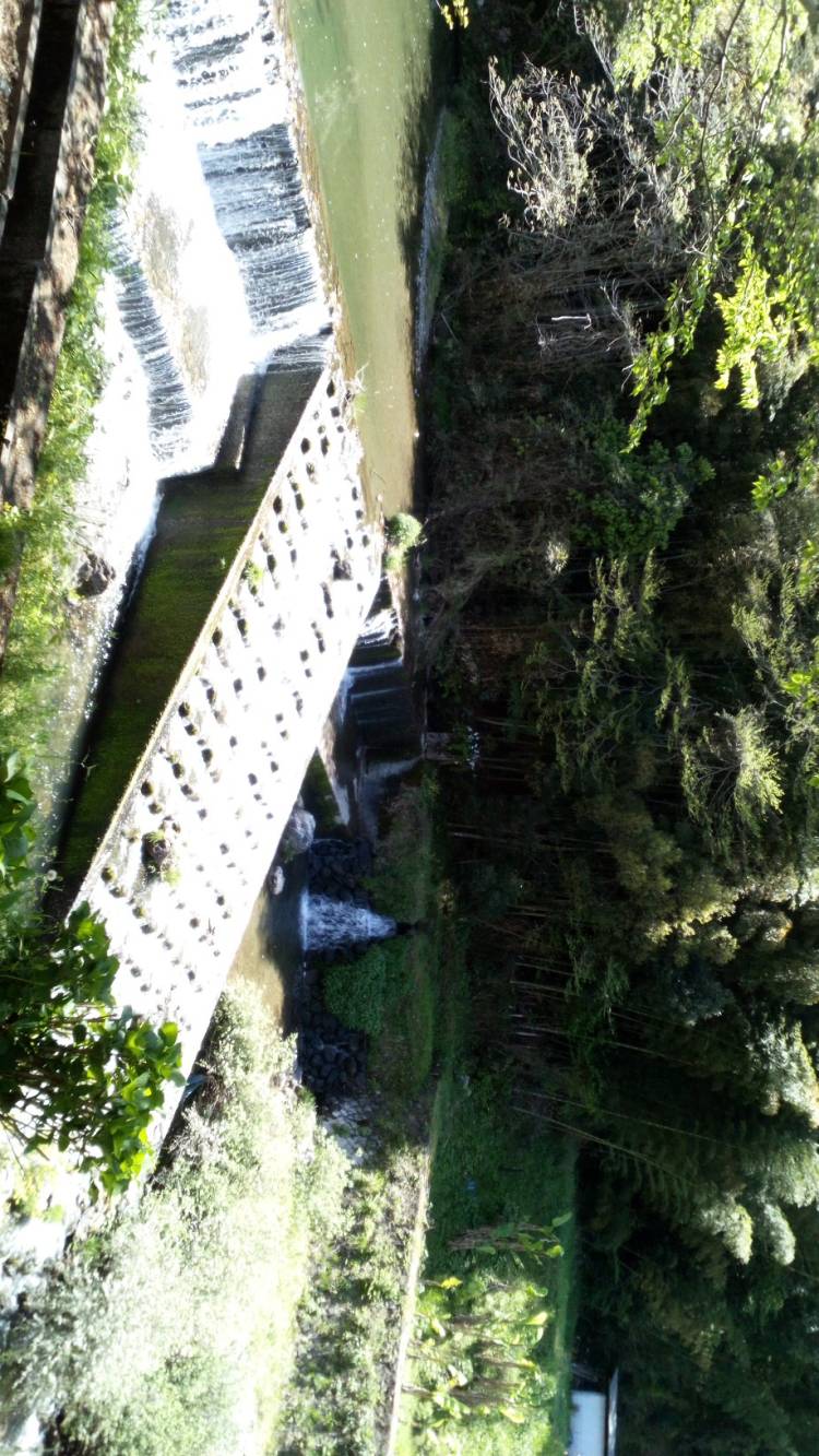 出勤しています～?