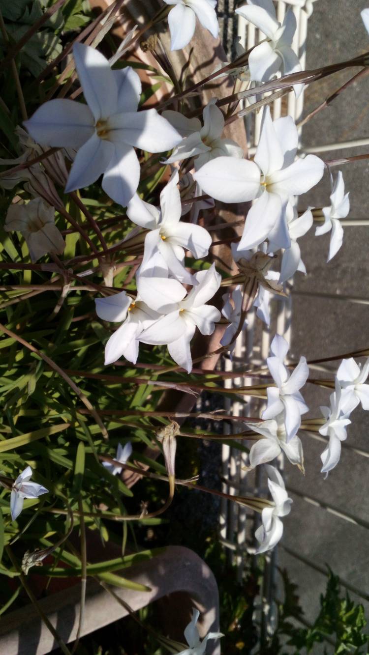 出勤しています?