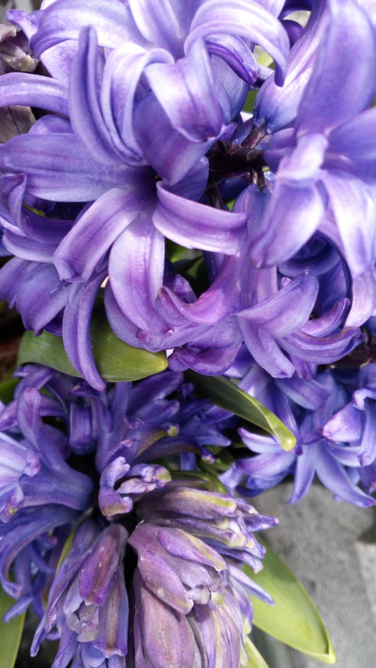 待機部屋に到着しています